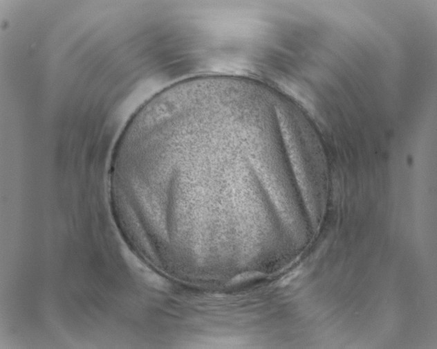 X0000088581471200706081110