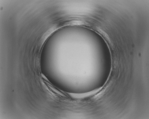 X0000088581473200706081110