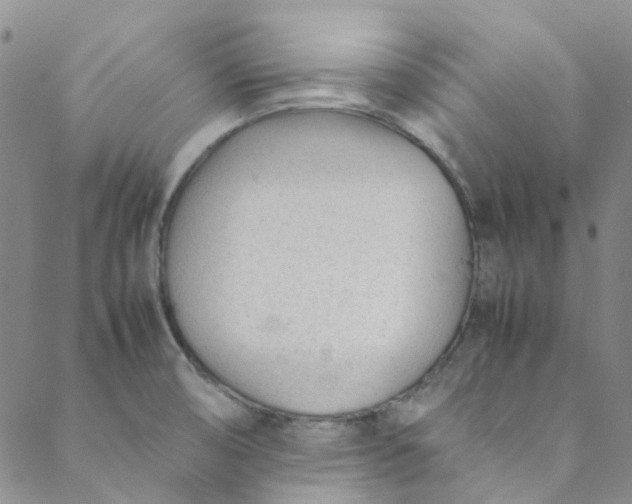 X0000088581474200706081110