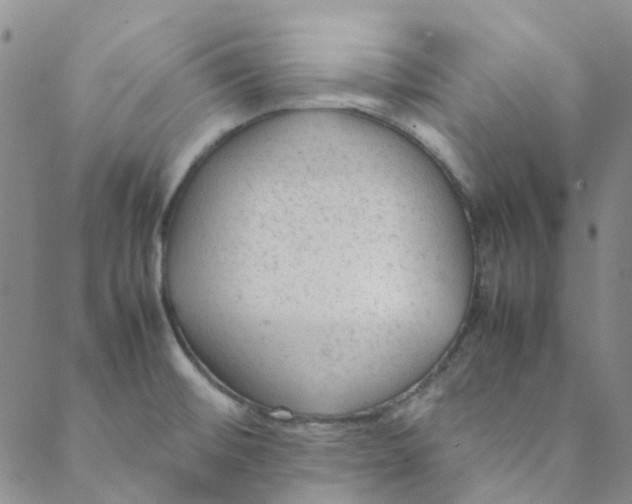 X0000088581476200706081110