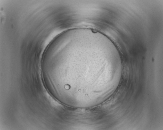 X0000088581478200706081110