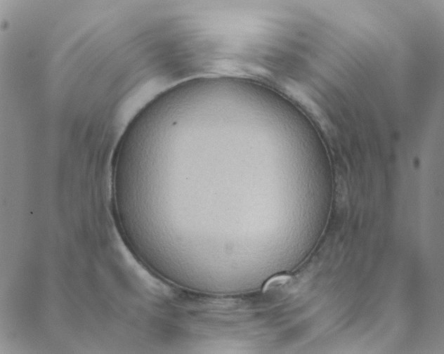 X0000088581479200706081110