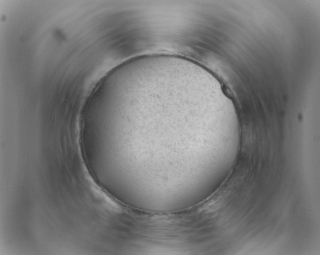 X0000088581480200706081110