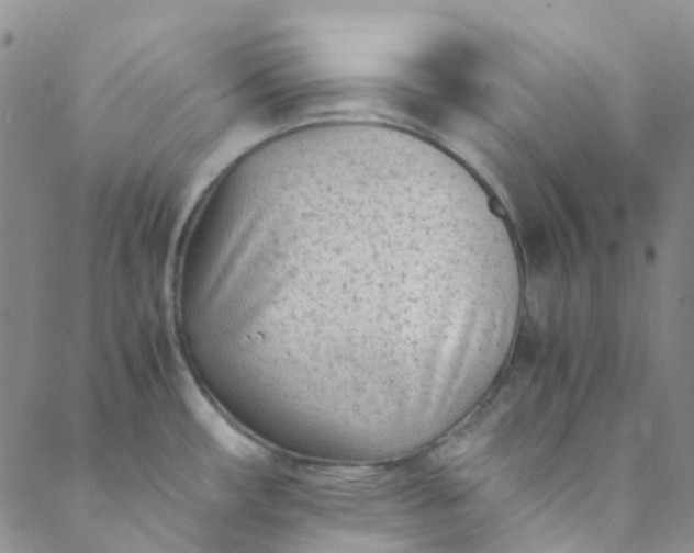 X0000088581482200706081110