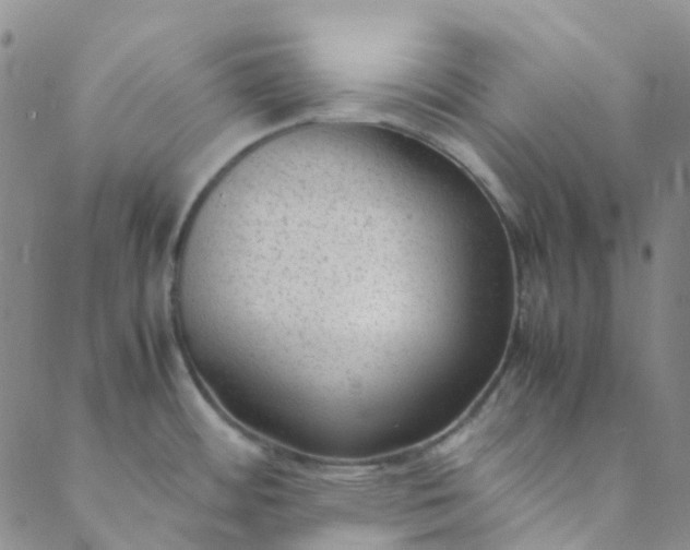 X0000088581484200706081110