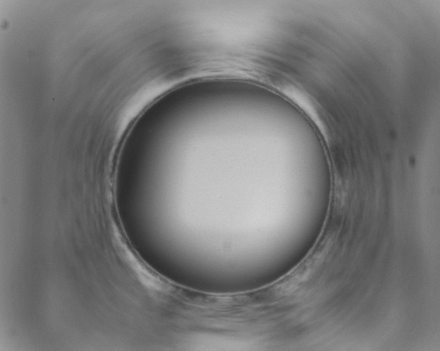 X0000088581485200706081110