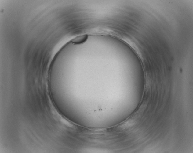 X0000088581486200706081110