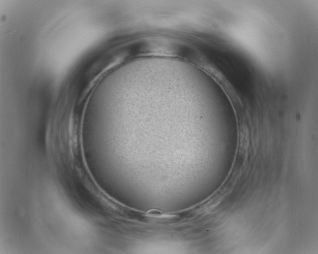 X0000088581487200706081110