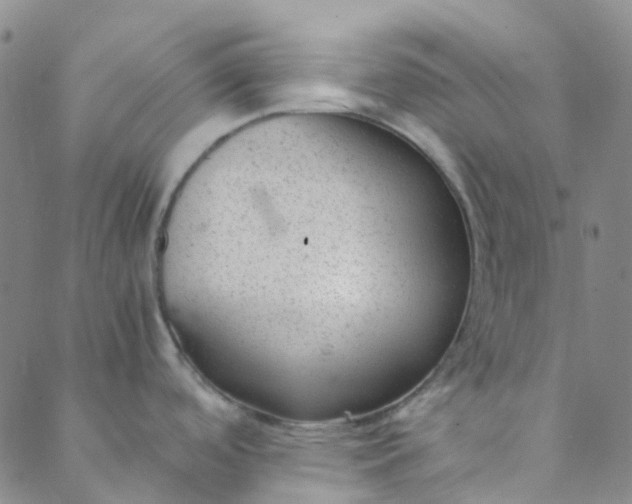 X0000088581488200706081110