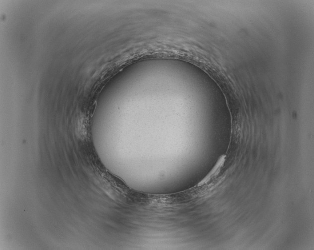 X0000088581490200706081109