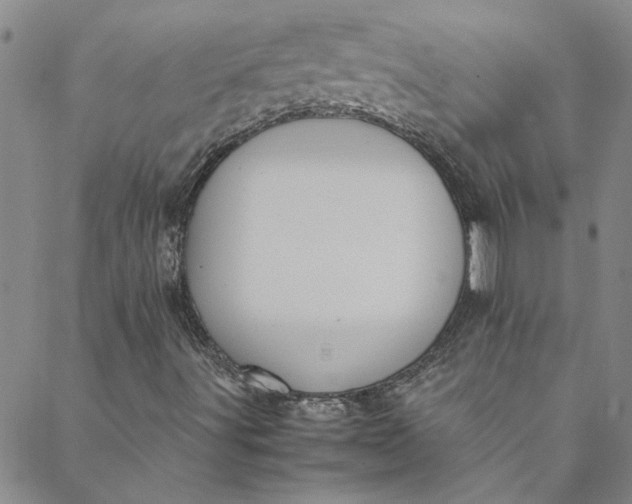 X0000088581491200706081109