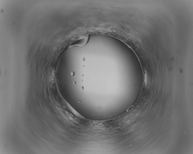 X0000088581492200706081109