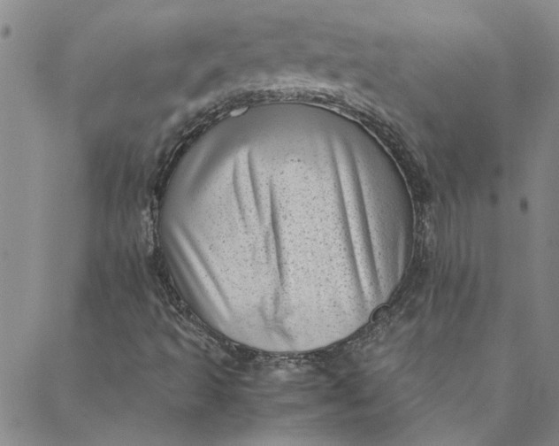 X0000088581493200706081109