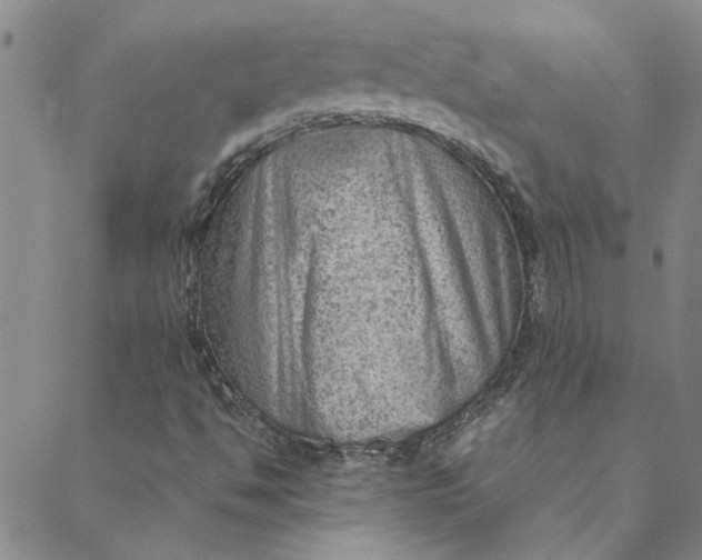 X0000088581494200706081109