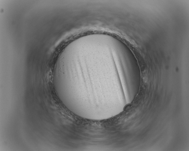 X0000088581495200706081109