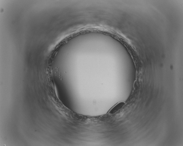 X0000088581496200706081109