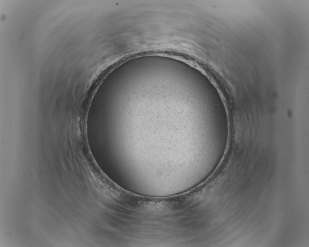 X0000088581497200706081109