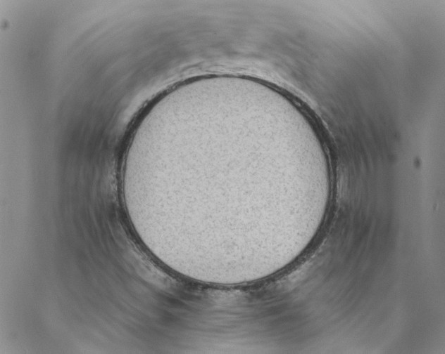 X0000088581498200706081110