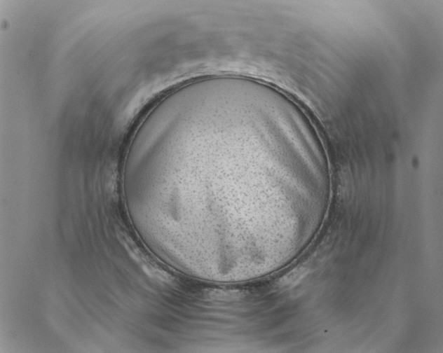 X0000088581499200706081110