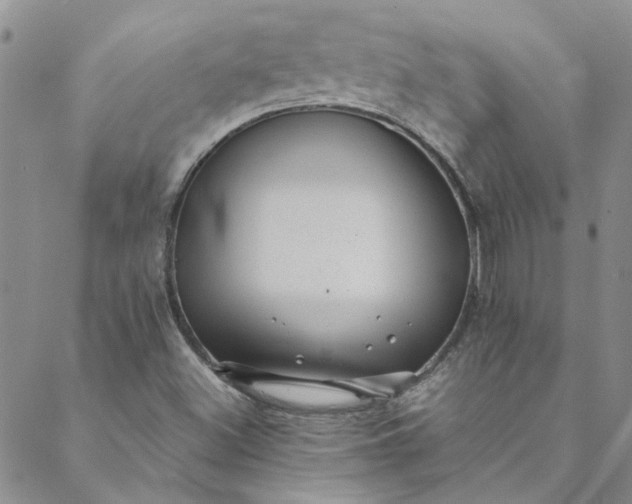 X0000088581500200706081110