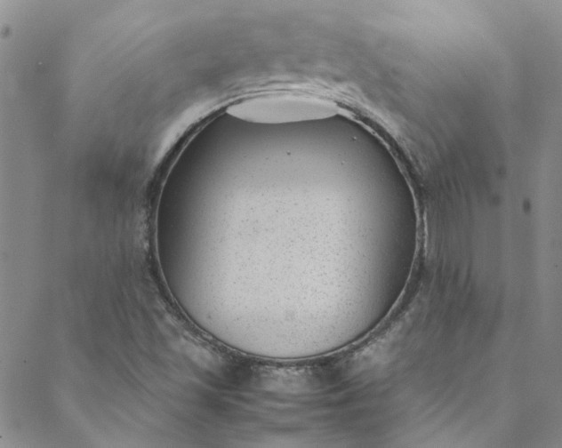 X0000088581501200706081110