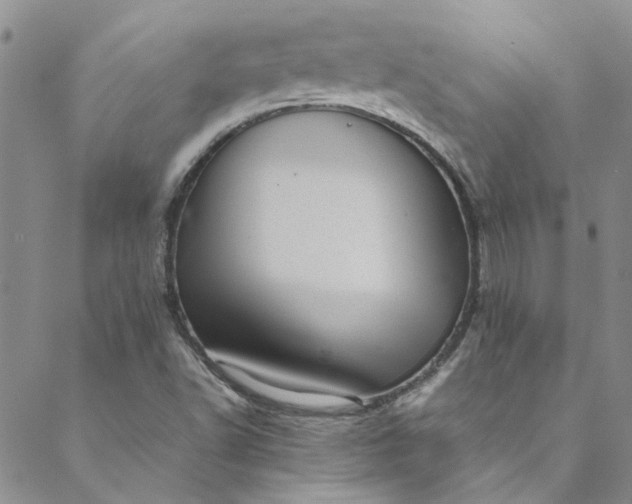 X0000088581502200706081110