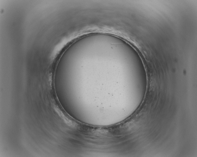 X0000088581503200706081110