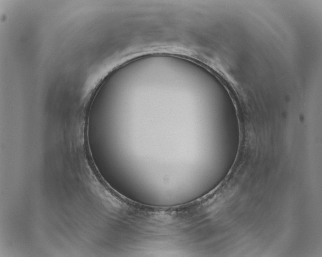 X0000088581504200706081110