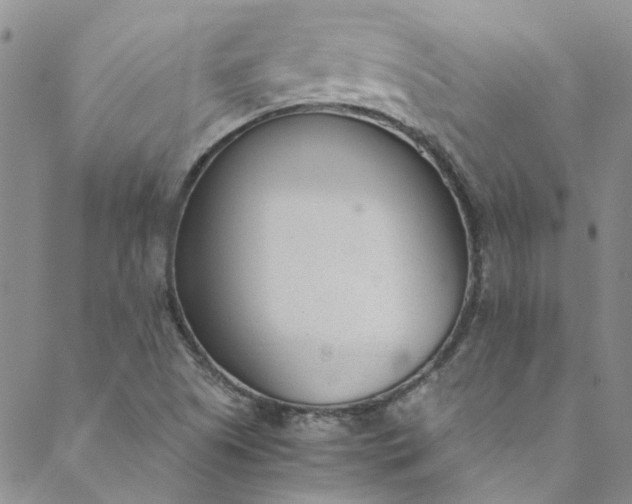 X0000088581505200706081110