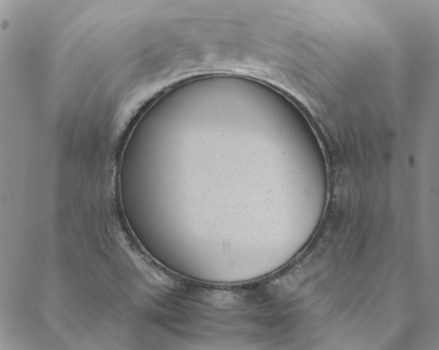 X0000088581507200706081110