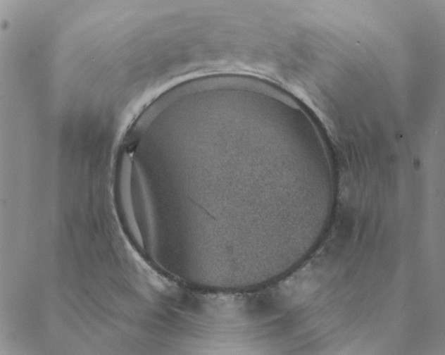 X0000088581508200706081110