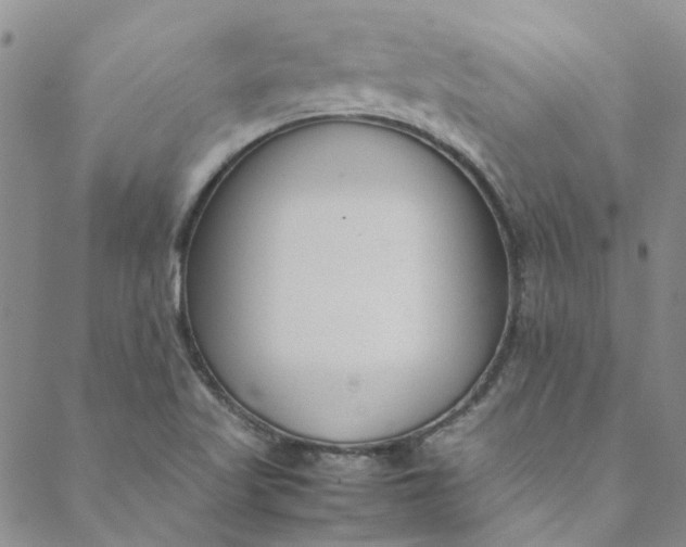 X0000088581509200706081110