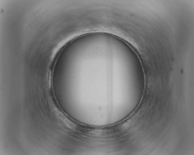 X0000088581510200706081110