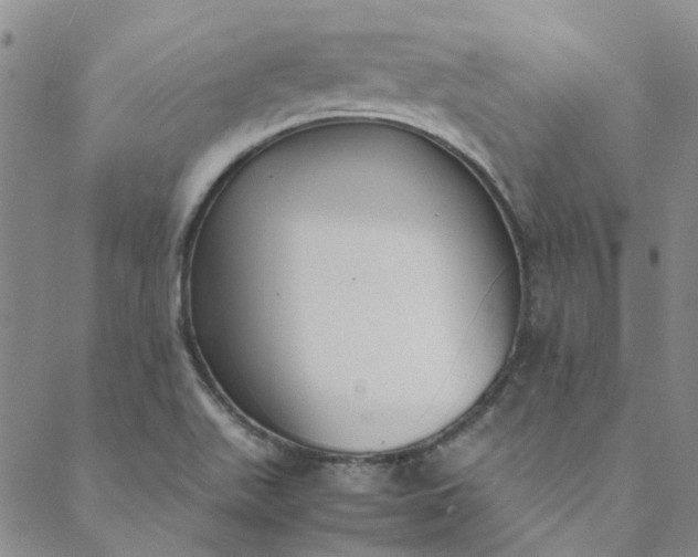 X0000088581511200706081110