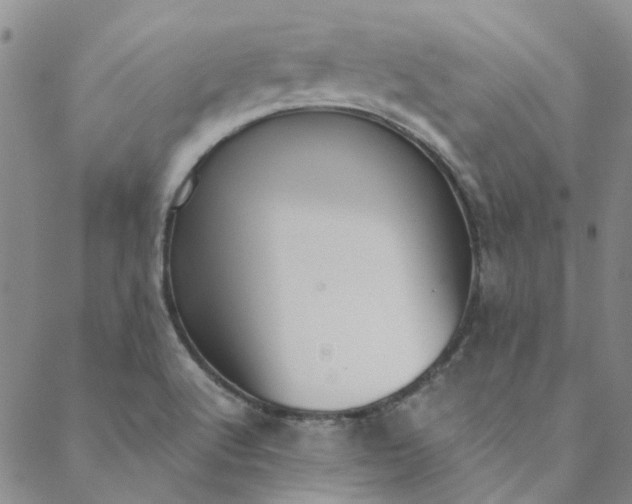 X0000088581512200706081110