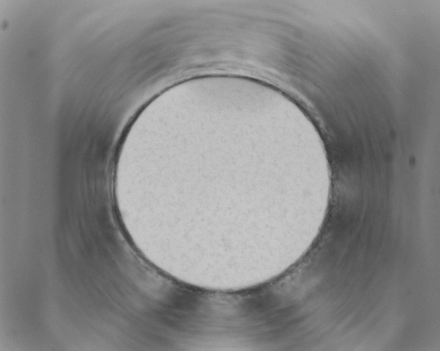 X0000088581514200706081110