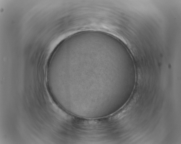 X0000088581515200706081110