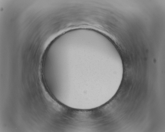 X0000088581518200706081110