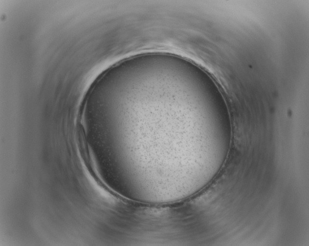 X0000088581519200706081110