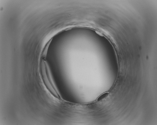 X0000088581520200706081110