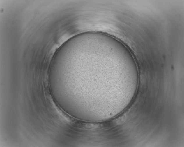 X0000088581521200706081110