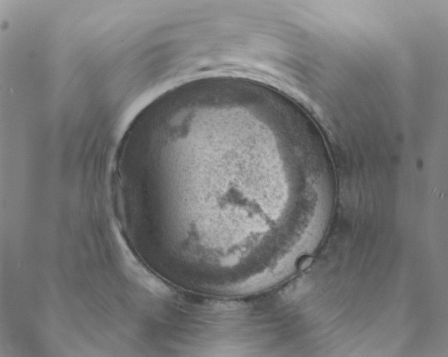 X0000088581522200706081110