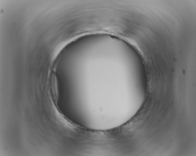 X0000088581524200706081110