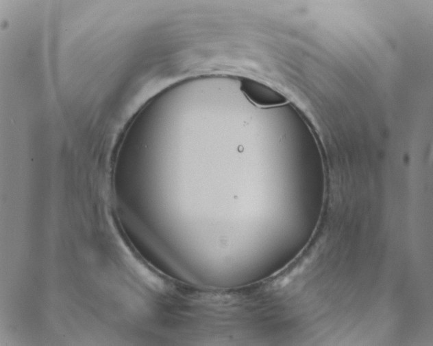 X0000088581525200706081110