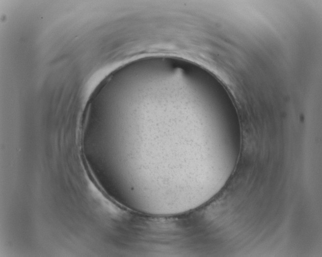 X0000088581527200706081110