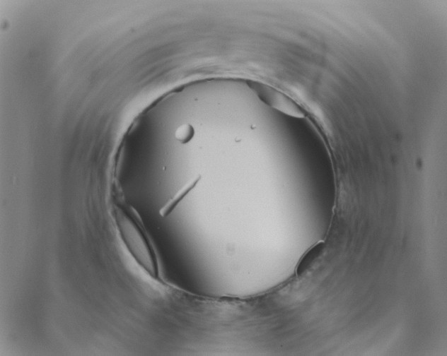 X0000088581528200706081110