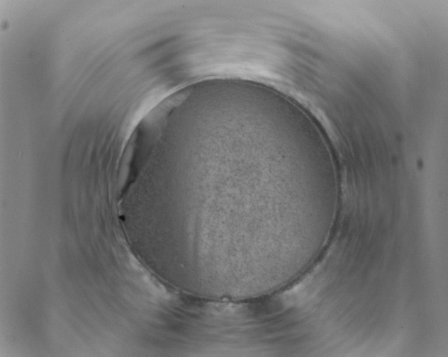 X0000088581529200706081110