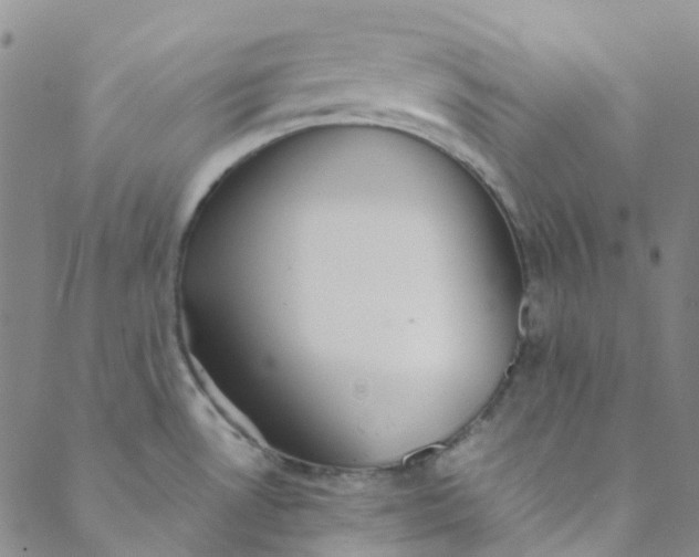 X0000088581530200706081110