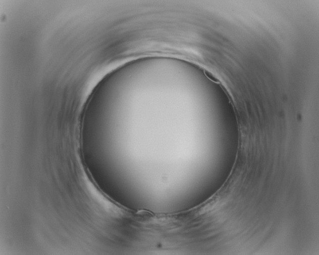 X0000088581531200706081110