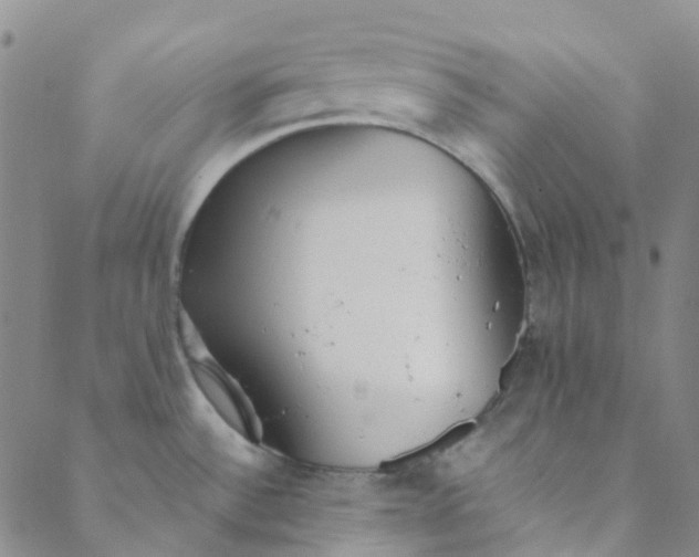 X0000088581532200706081110